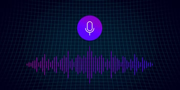California Consumer Privacy Act Voice Data