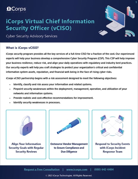 Cyber Security Advisory Services - vCISO Services (2023)