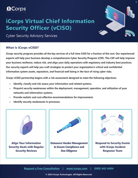 Cyber Security Advisory Services - vCISO Services (2024)