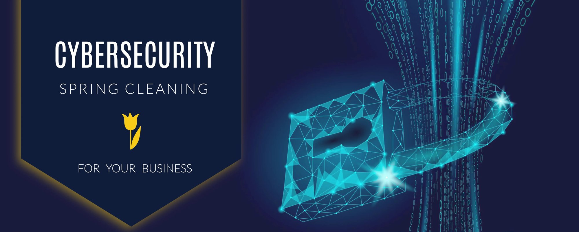 Spring-Cyber-Web (3)