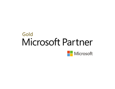 Microsoft Gold Partner Partner Page Logo