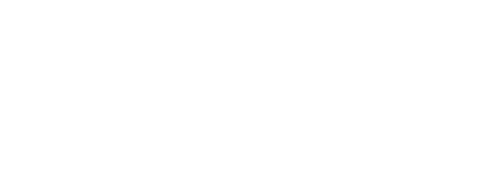 ISACA-White